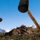 Image for article titled Department Of Interior To Control Rising Mole Population By Releasing Mallets Into National Parks